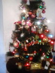 IMG_20191219_093126.jpg