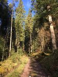 80F48013-456E-4B32-9A78-7864115789FC.jpeg