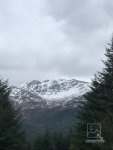 99C0E000-9EB7-49AC-B143-8AC3CB487528.jpeg