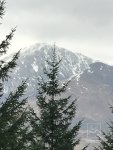 65B8F236-12B8-4952-A291-AB82D5C65161.jpeg
