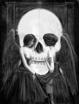 skull.jpg