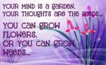 positive thinking quotes april 2016.jpg