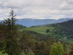 20190531_114916.jpg