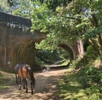 IMG_20200731_111237.jpg IMG_20200731_111237.jpg