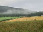 EC0573C0-789C-4BA2-99DE-42353D8FE3DC.jpeg