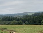 ADD95396-CBC7-4FA2-BAA2-85D30730E830.jpeg