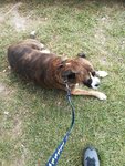 IMG_20200814_134549.jpg