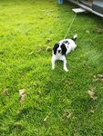 IMG_20200814_180547.jpg