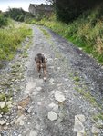 IMG_20200816_145306.jpg