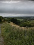 IMG_20200816_145614.jpg