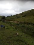 IMG_20200817_120108.jpg