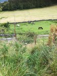 IMG_20200817_124251.jpg