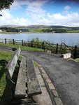 IMG_20200817_135141.jpg