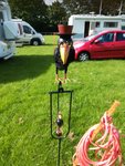 IMG_20200817_161649.jpg