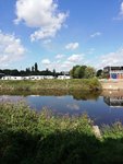 IMG_20200831_114530.jpg