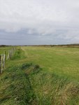 IMG_20200911_135247.jpg