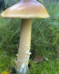 6C5B3275-79B8-45FE-99CC-B1D04E345404.jpeg