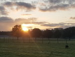 20200919_071553.jpg