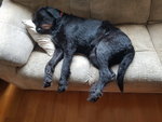 20200920_162546.jpg