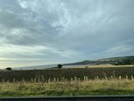 9CCE8184-5632-440E-B4D2-2CE4D0F6D108.jpeg