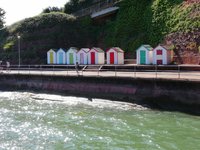 IMG_20190715_162447.jpg