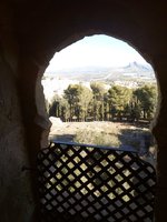 IMG_20171204_113957.jpg