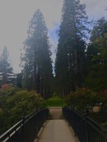 00AB350E-5921-4C47-BE1D-A30C8EEBF7DA.jpeg 00AB350E-5921-4C47-BE1D-A30C8EEBF7DA.jpeg