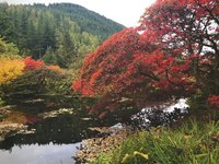 D22FB539-A893-49DA-B569-5E5B19D353AD.jpeg D22FB539-A893-49DA-B569-5E5B19D353AD.jpeg