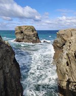 IMG_20201011_140537.jpg IMG_20201011_140537.jpg