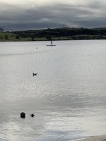 E20B3725-AE21-435F-A134-13058D7A4B47.jpeg