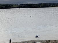 0E8B051C-D005-40AC-A2A6-35E8167E1A16.jpeg