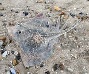 IMG_20201023_165652.jpg IMG_20201023_165652.jpg