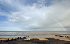 IMG_20201025_151414.jpg IMG_20201025_151414.jpg