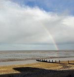 IMG_20201025_151720.jpg IMG_20201025_151720.jpg