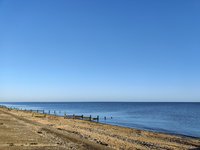 IMG_20201026_075228.jpg IMG_20201026_075228.jpg