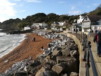 IMG_20201026_135600.jpg
