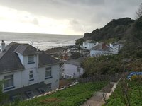 IMG_20201026_142631.jpg