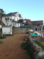 IMG_20201026_142226.jpg