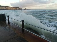 IMG_20201027_161652.jpg
