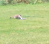 IMG_20201029_101831.jpg