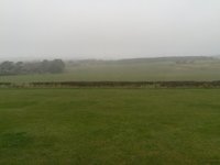 IMG_20201030_151247.jpg