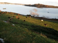 audleys castle g.jpg