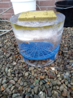 1604958032086.png 1604958032086.png