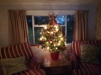 IMG_20201117_163138.jpg