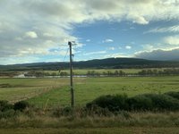 E52492C5-2BBC-4555-BB5D-5AA2BC0A6D42.jpeg