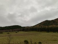 4BE6990C-E07C-4233-BD56-A1DE49E936E6.jpeg