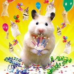 hamster1.jpg