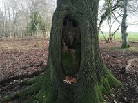 IMG_20201128_124433.jpg