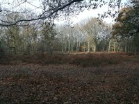 IMG_20201128_124457.jpg