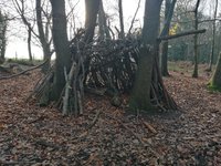 IMG_20201128_124605.jpg